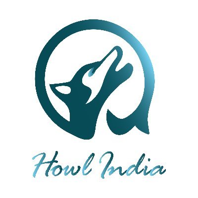 We are a mob of mutinous marketers and humble humans who are hellbent on building brands and gaining value.
Youtube - https://t.co/AhE09LFQCr