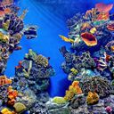 Johnathan Patrick - @John_Pat2 - Twitter