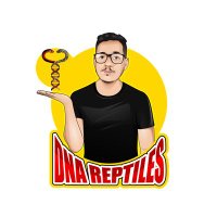 DnA Reptiles(@DnaReptiles95) 's Twitter Profileg