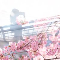 Shiori* (@_1002co) 's Twitter Profile Photo Shiori* (@_1002co) 's Twitter Profile Photo