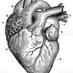 Cardiología Traslacional / Navarrabiomed (@cardiotrasnb) Twitter profile photo Cardiología Traslacional / Navarrabiomed (@cardiotrasnb) Twitter profile photo