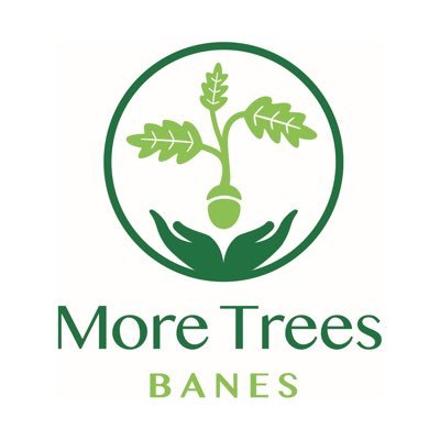 MoreTreesBANES Profile Picture