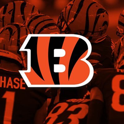 Father, Husband and Cincinnati Sports Fanatic. All Things Cincinnati Bengals and Reds.