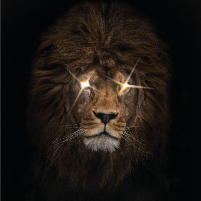 SylCR01's profile picture. 