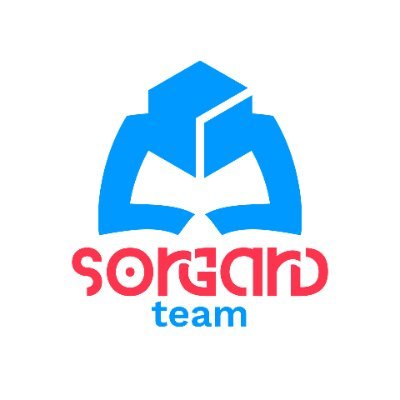 Sorgard Team • Videogames and XR Servicesさんのプロフィール画像