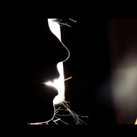 Léonore Boulanger (@leonoresquare) 's Twitter Profile