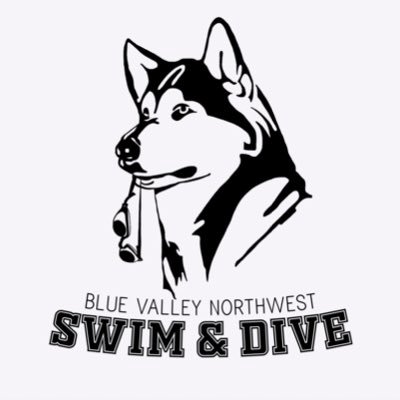 BVNWSwim Profile Picture