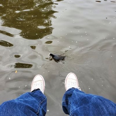 AleMenini87's profile picture. DDS
Nato a Verona, cresciuto in Valpolicella.
Non ho nulla di intelligente da dire, perciò sono su twitter.

PS. Ho un feticismo per le diffide via PEC