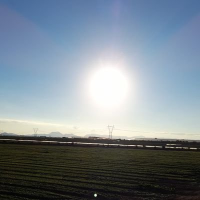 med121970's profile picture. 