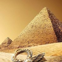 فاضح الخونه 🇪🇬🇪🇬 (@alaa23r) 's Twitter Profile
