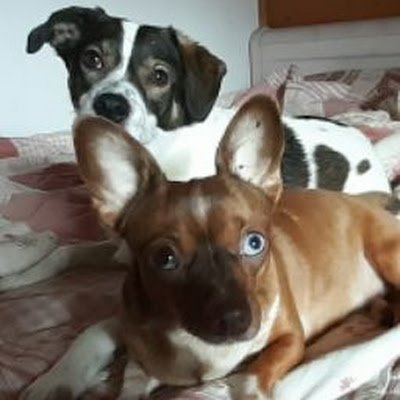 aco3332's profile picture. 