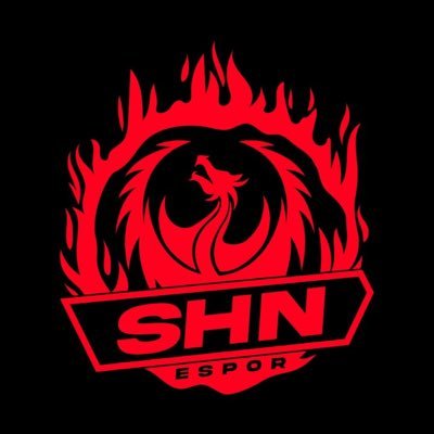 SHN Espor Profile