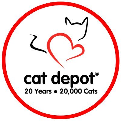 Cat Depot, a nonprofit, free-roaming feline rescue and adoption center in Sarasota, Florida, helps homeless and injured cats and kittens.