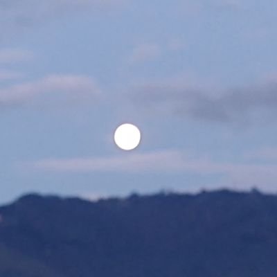 Lupe2Erick's profile picture. 