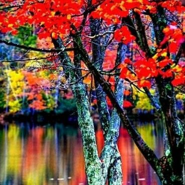 WaawYuuu's profile picture. 