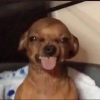 J.T (@notasnervous) 's Twitter Profile Photo