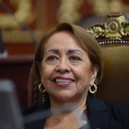 Diputada del Congreso de la Ciudad de México II Legislatura, por el Distrito XXII de #Iztapalapa.
Presidenta de la Comisión de Reconstrucción.