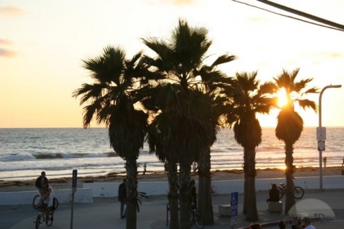 PBsandiego's profile picture. 