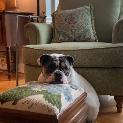 RyanKleissler's profile picture. Interested in cartography, film, & formula 1