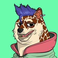 Shaw ᛤ (@shaw5343) 's Twitter Profile