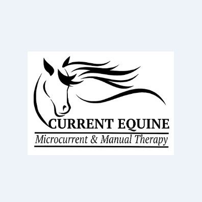 currente0q's profile picture. Address:
15836 Trackside Drive, Odessa, FL 33556

Phone
813-957-7174

Business email:
lynn@currentequinetherapy.com