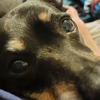 Melissa55000362's profile picture. 