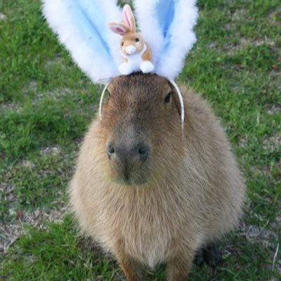 HenryLD_New's profile picture. priv account for my thoughts