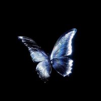 卢克&辣辣🦋 (@lukelala010) 's Twitter Profile