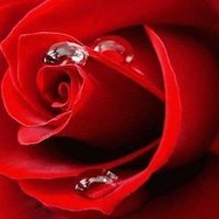 ناصر الشمري (@nrmjo1) 's Twitter Profile