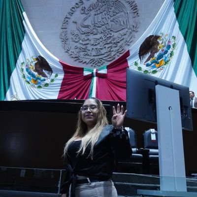 Diputada Federal LXV Legislatura // Secretaria de la Comisión de Pueblos Indígenas y Afroamexicanos
Náhuatl, mi lengua.