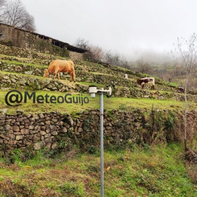 Estación meteorológica de Guijo de Santa Bárbara (Cáceres).
Miembro de Wunderground, Ecowitt...
🎖️Top 10 estaciones ➕ lluvia registra en España.