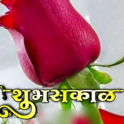 shyamkumarrrr's profile picture. 