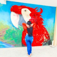 Denisse Pita (@pitadenisse30) 's Twitter Profile