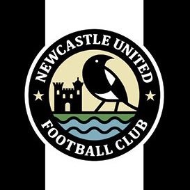 nufc1010's profile picture. NUFC ⚽️