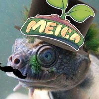 ⬡Sr tortuga⬡🏍️💥 (@srtortuga10) 's Twitter Profile