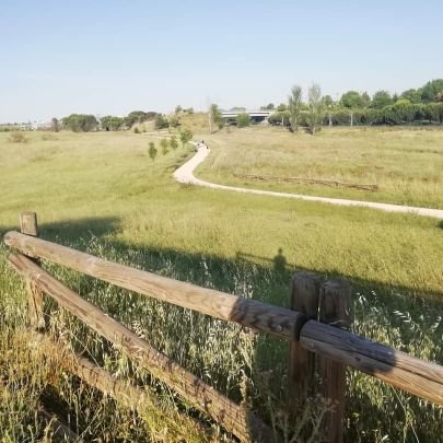 Somos un colectivo en lucha por el medio ambiente y la calidad de vida en Coslada y su entorno