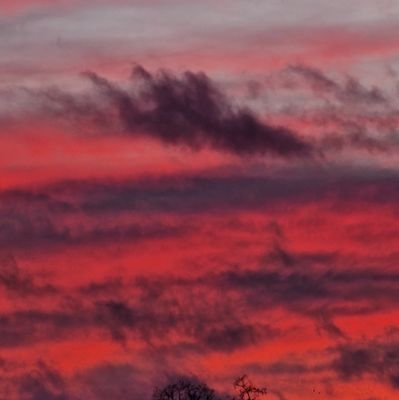 BenKop76's profile picture. 