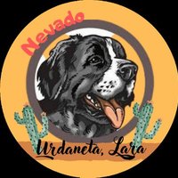 Nevado Urdaneta(@nevadourdaneta) 's Twitter Profile Photo