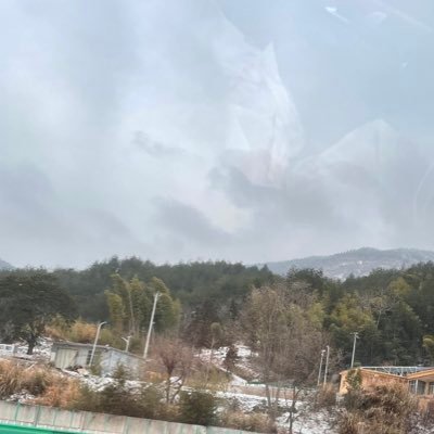 FFFFF588's profile picture. 