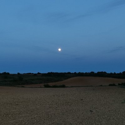 cervatospp's profile picture. El aprendizaje es un regalo. Incluso cuando el dolor es tu maestro.
Alcaldesa de Cervatos de la Cueza.