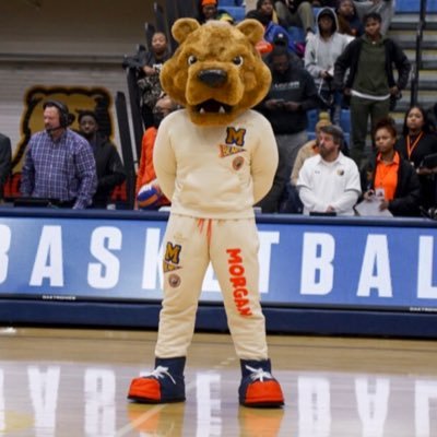 The Official Twitter Page for The Morgan State University Mascot Benny the Bear