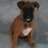 Brian Mobley's Twitter (X) avatar