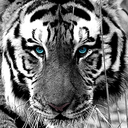 Atul Suri - @SuriX - Twitter