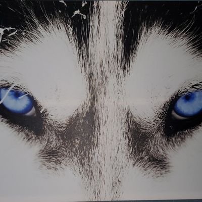 ricky_roland77's profile picture. #STLCards