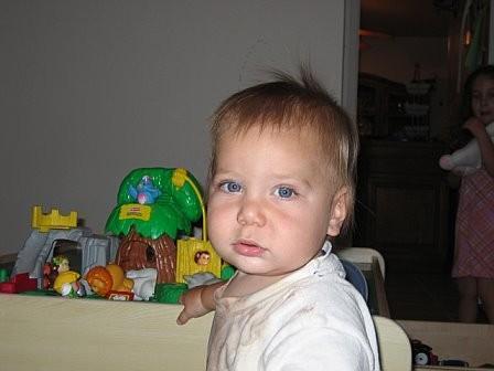 slehavi's profile picture. He who dares, wins!