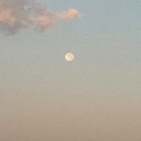 Pam Hahn - @PamAnHa - Twitter