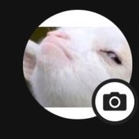 nat (@nateaces) 's Twitter Profile