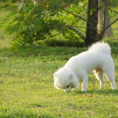 siqin1997's profile picture. Ningbo, Zhejiang, China   有fo💕必回💕，谢谢！