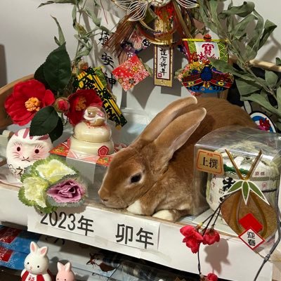 ハンドメイド中心にツイートします。たまに趣味、育児、推しのことも！大知識人です。無言フォローすみません。 好きなことをお互い讃えあい、高めていける方仲良くしましょう。