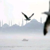 Recep Aksoy (@_recepaksoy) 's Twitter Profile Photo Recep Aksoy (@_recepaksoy) 's Twitter Profile Photo